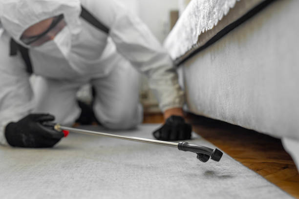 Professional Bed Bug Control technician working in Man, WV