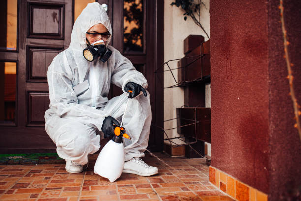Reliable Bed Bug Control contractor in Man, WV by Nex Pest Control