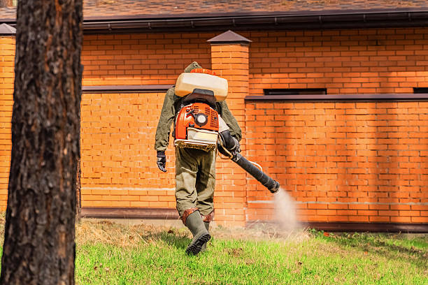 Top rated local Bed Bug Control specialists in Man, WV